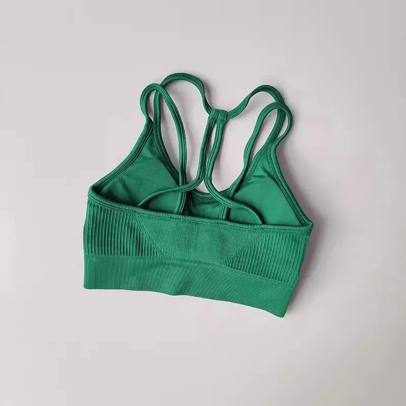 PowerSculpt Ribbed Sports Bra  Lolu Active