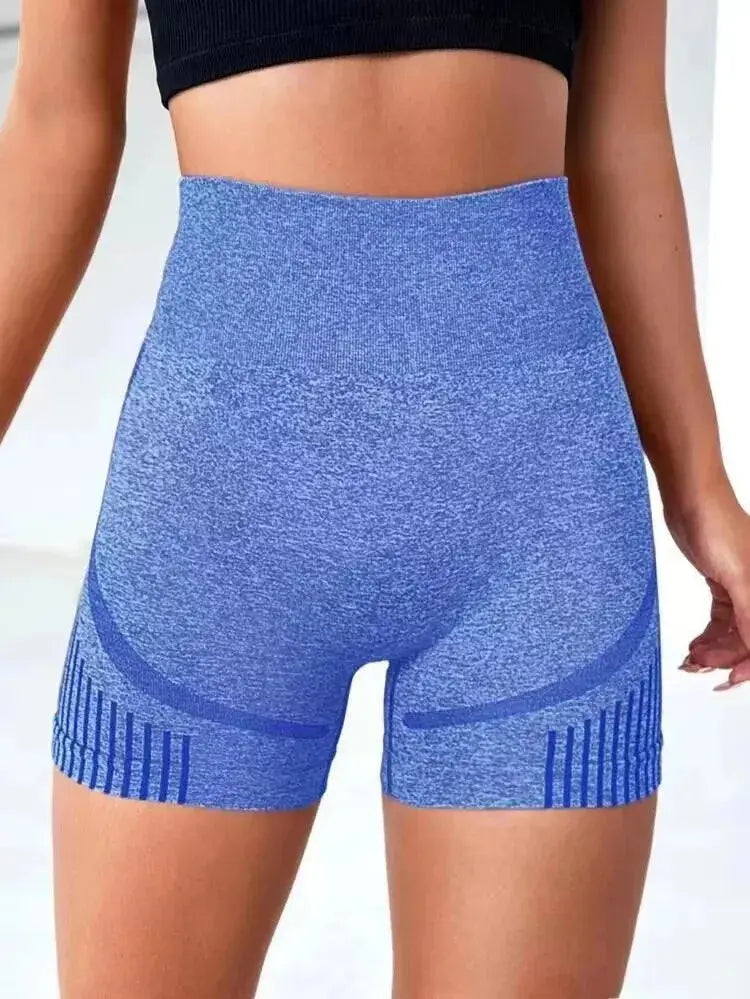 Seamless Sculpt Shorts  Lolu Active