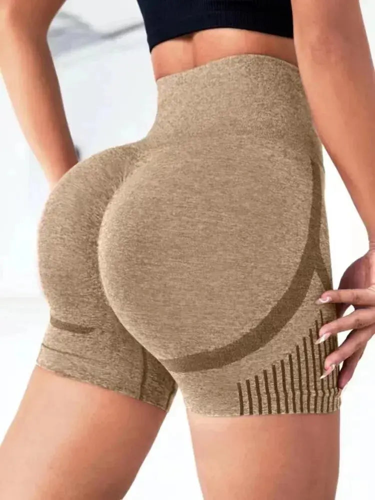 Seamless Sculpt Shorts  Lolu Active